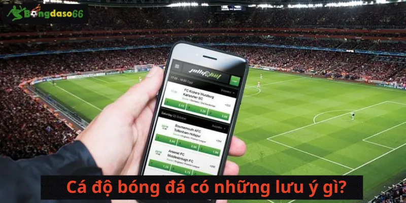 Cá độ bóng đá có những lưu ý gì?