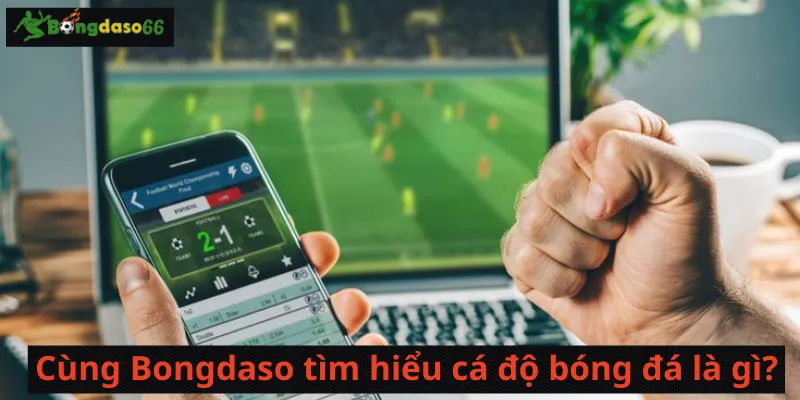 Cùng bongdaso tìm hiểu cá độ bóng đá là gì?