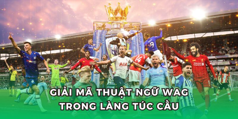 WAG là gì? Đây là từ dùng để chỉ vợ và bạn gái của cầu thủ.